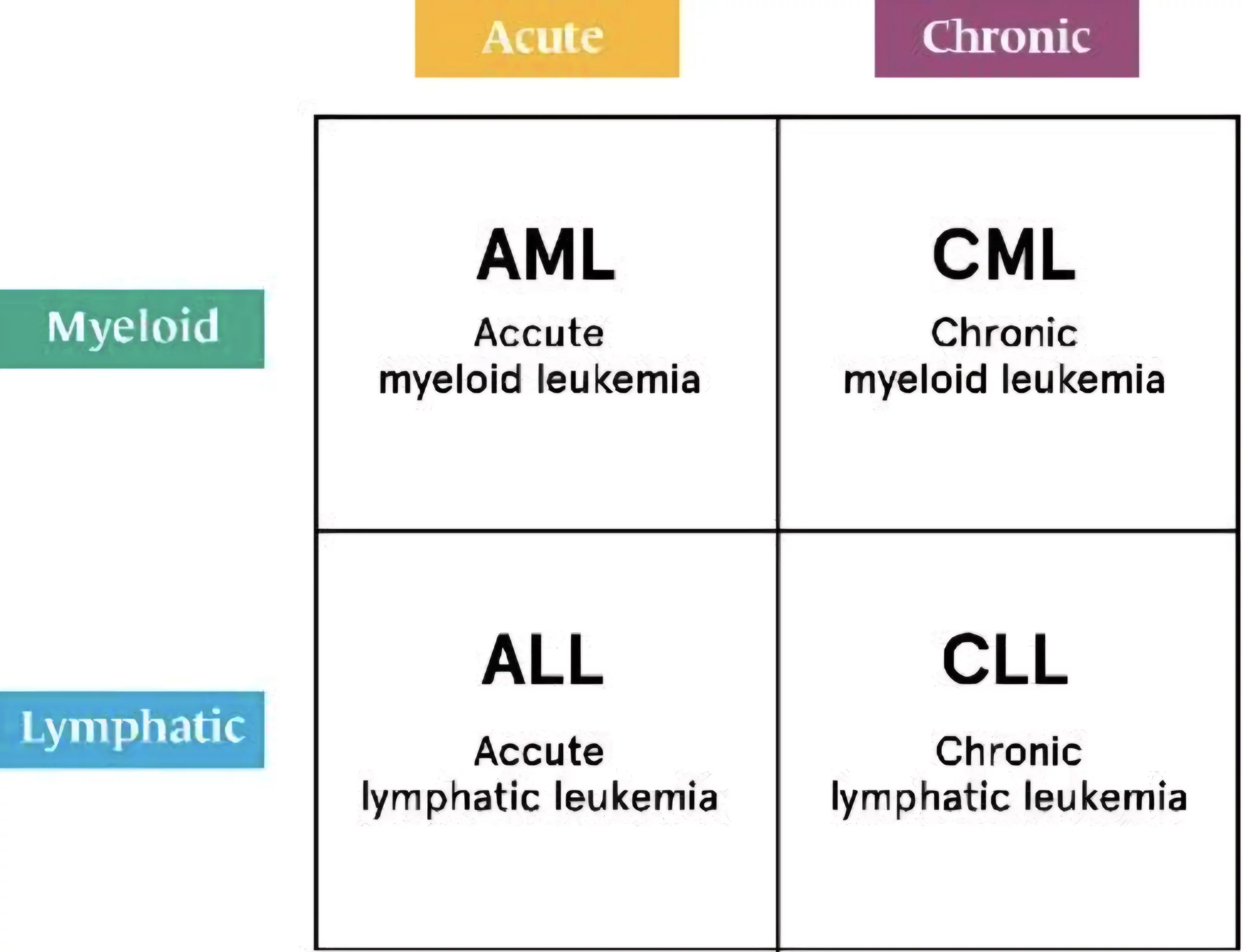 What is Leukemia